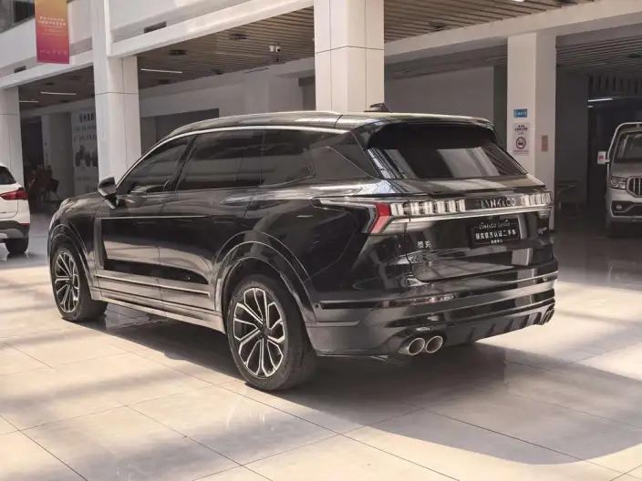 Lynk & Co 09 2024 Model 2.0T 4WD Sports Edition – фото 5