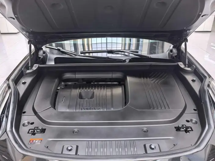 Lynk & Co 09 2024 Model 2.0T 4WD Sports Edition – фото 8