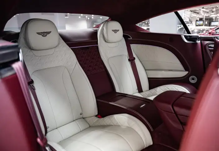 Continental 2022 Model 4.0T GT V8 – фото 9