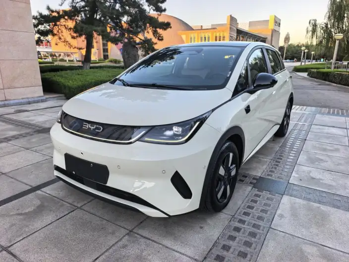 BYD Dolphin 2025 Model Smart Driving Edition 410KM Fashion Edition – фото 1