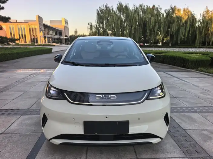 BYD Dolphin 2025 Model Smart Driving Edition 410KM Fashion Edition – фото 2