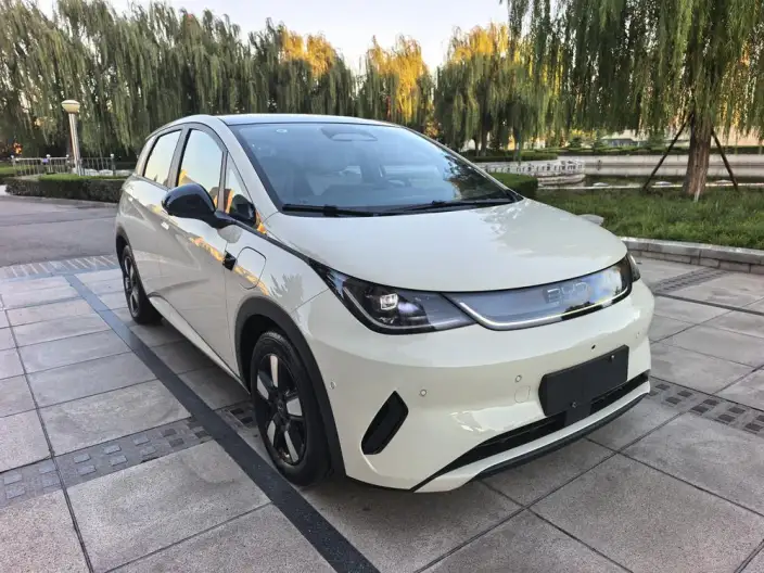 BYD Dolphin 2025 Model Smart Driving Edition 410KM Fashion Edition – фото 3