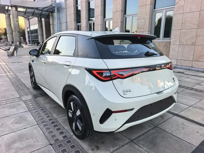 BYD Dolphin 2025 Model Smart Driving Edition 410KM Fashion Edition – фото 4