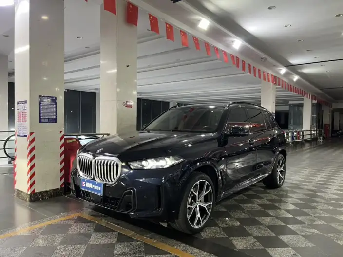 BMW X5 2023 Model xDrive30Li Exclusive Model M Sports Night Set – фото 1