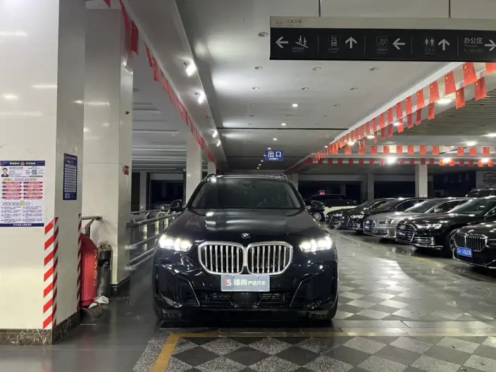 BMW X5 2023 Model xDrive30Li Exclusive Model M Sports Night Set – фото 2