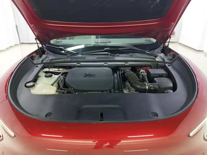IM LS6 2026 Model Extended Range 66 Max – фото 10