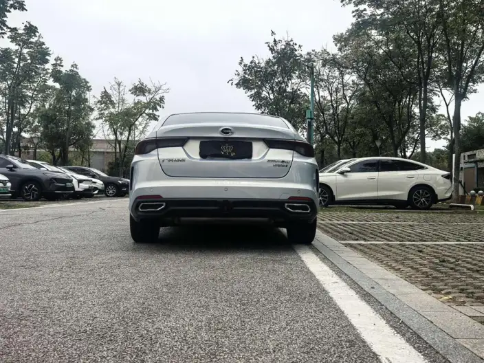 Emzoom 2023 Model 2.0L DHT High Power Hybrid version – фото 6