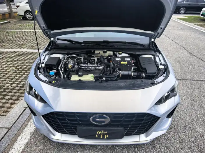 Emzoom 2023 Model 2.0L DHT High Power Hybrid version – фото 9
