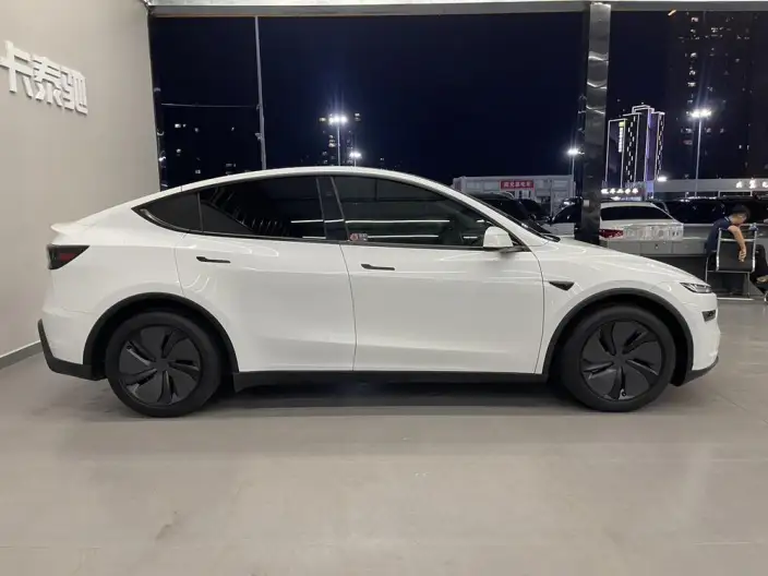 Model Y 2025 Model Rear-wheel drive version – фото 8