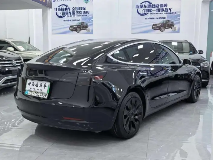 Model 3 2021 Model Standard Battery Life Rear Drive L Class Edition 3D6 – фото 6