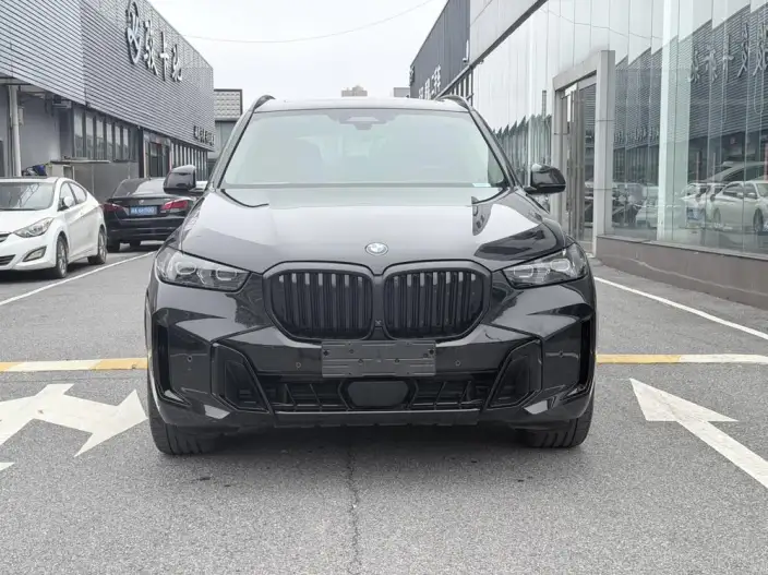BMW X5 2023 Model xDrive30Li Exclusive Model M Sports Night Set – фото 2