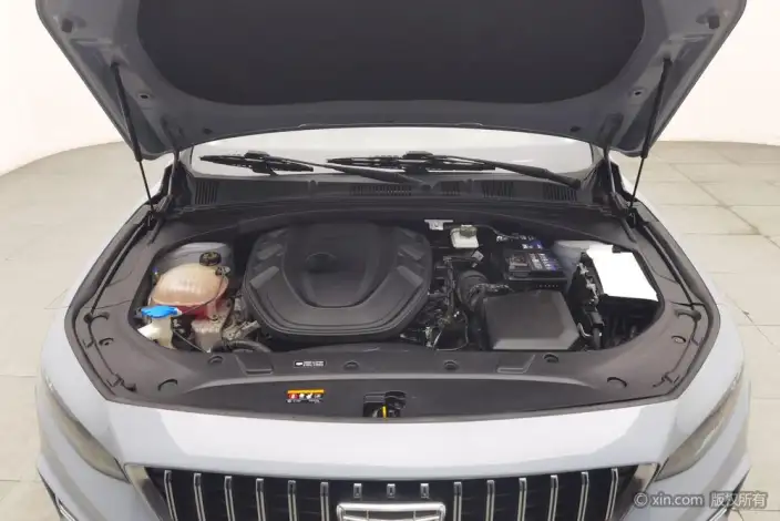 Geely StarRui 2023 Model 2.0T Luxury Model – фото 5