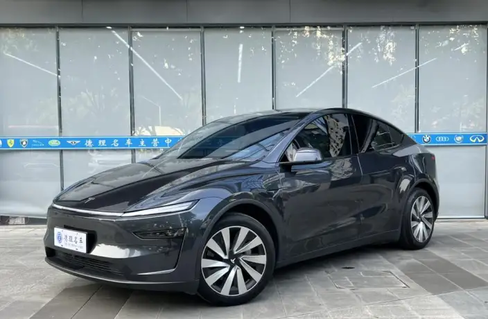Model Y 2025 Model Rear-wheel drive version – фото 1