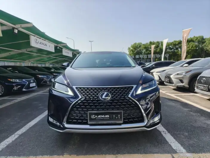 Lexus RX 2020 Model Facelift 300 2WD Elite Edition – фото 2