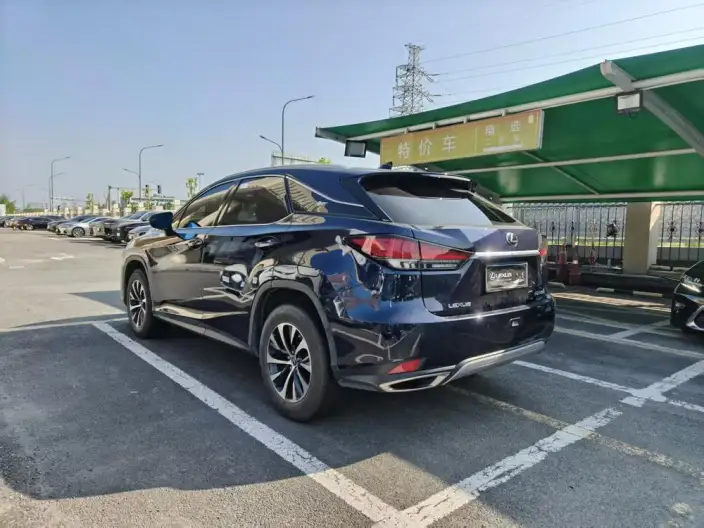 Lexus RX 2020 Model Facelift 300 2WD Elite Edition – фото 4