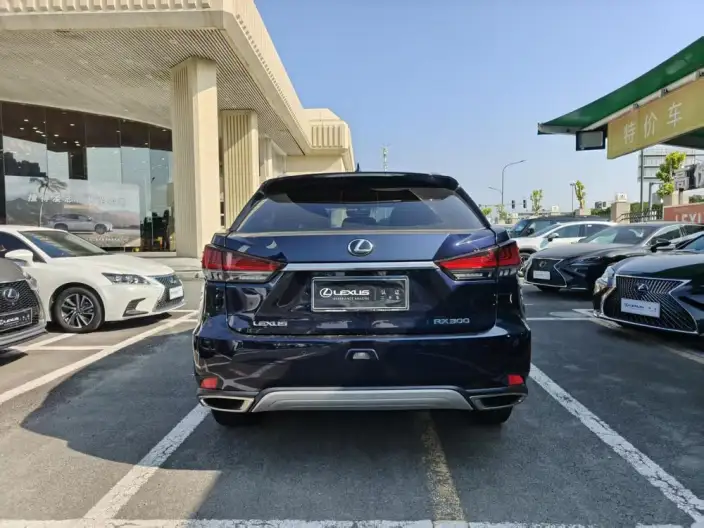 Lexus RX 2020 Model Facelift 300 2WD Elite Edition – фото 5