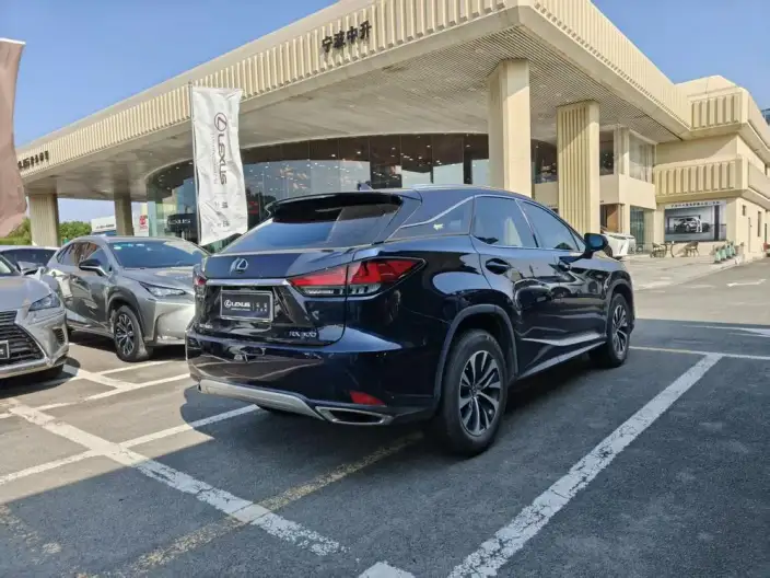 Lexus RX 2020 Model Facelift 300 2WD Elite Edition – фото 6