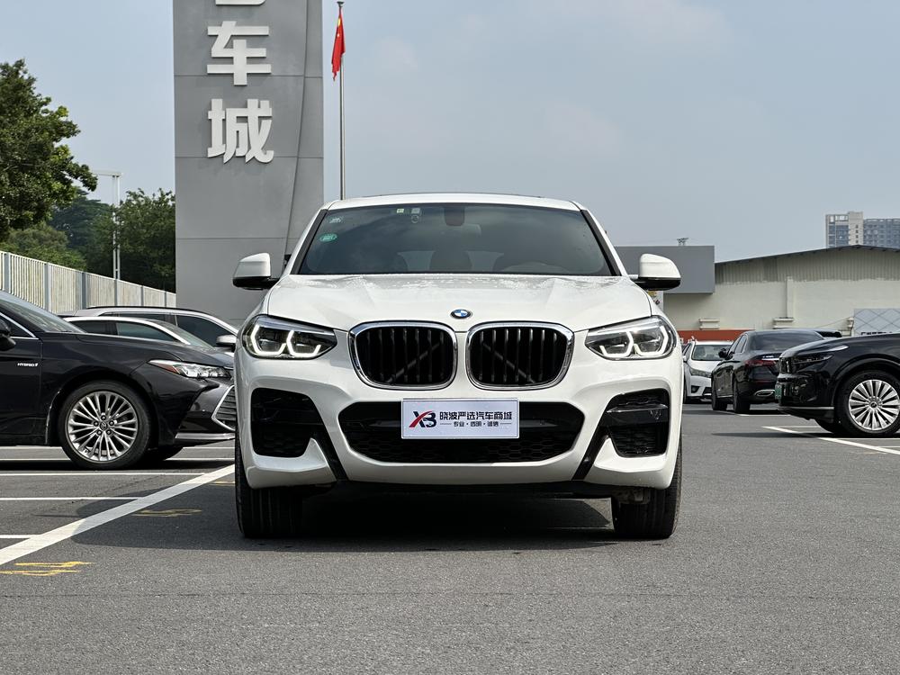 BMW X4 2019 xDrive25i M Sport Package