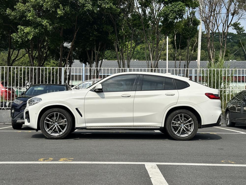 BMW X4 2019 xDrive25i M Sport Package