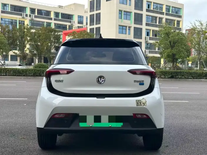 Young Guang Xiaoxin 2021 Model S400 4 seat – фото 5