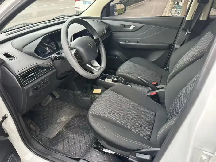 Young Guang Xiaoxin 2021 Model S400 4 seat – фото 9
