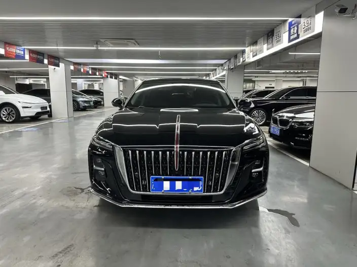 Hongqi H5 2025 Model 2.0T Automatic Flag Enjoy Edition – фото 2