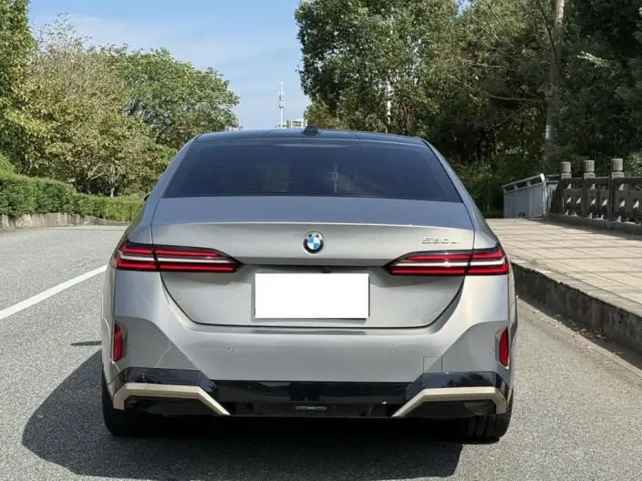 BMW 5 Series 2024 Model 530Li Exclusive Model M Sports Set – фото 6
