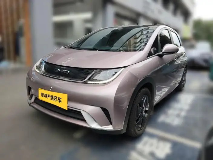BYD Dolphin 2021 Model Fashion Edition – фото 1