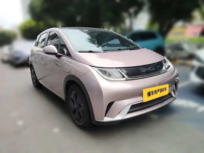BYD Dolphin 2021 Model Fashion Edition – фото 2