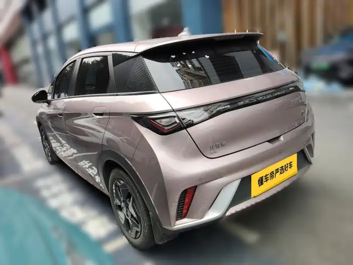 BYD Dolphin 2021 Model Fashion Edition – фото 3