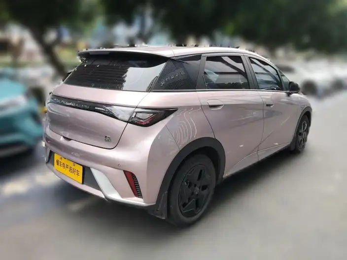 BYD Dolphin 2021 Model Fashion Edition – фото 4