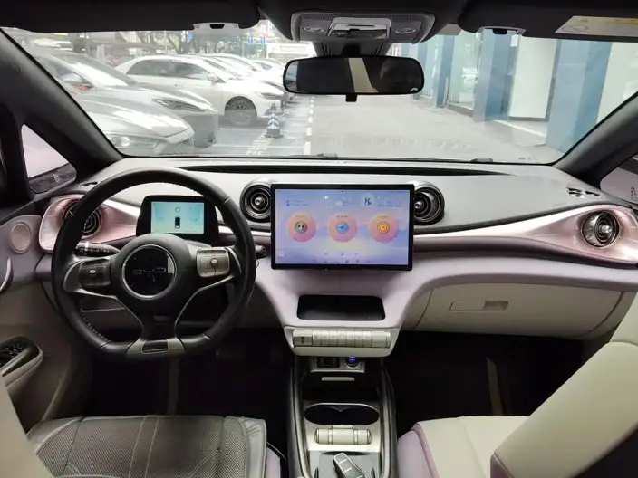 BYD Dolphin 2021 Model Fashion Edition – фото 6