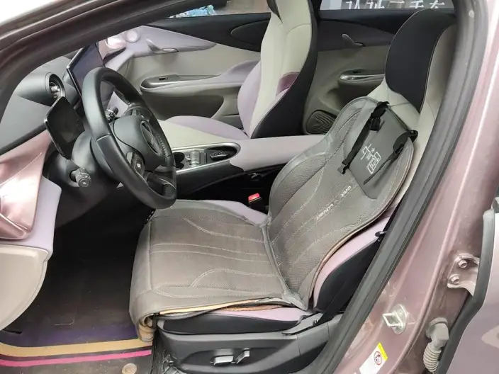 BYD Dolphin 2021 Model Fashion Edition – фото 10
