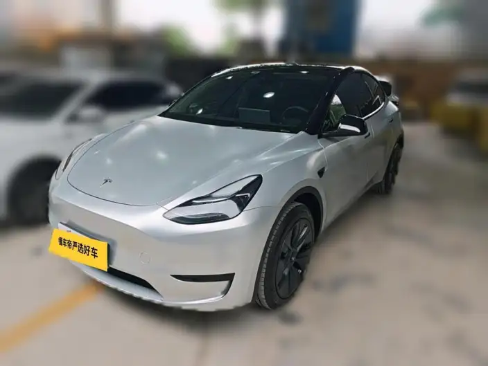 Model Y 2024 Model Rear-wheel drive version – фото 1