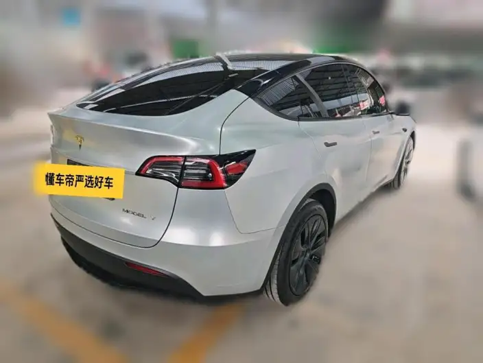 Model Y 2024 Model Rear-wheel drive version – фото 4