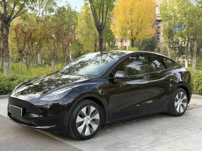 Model Y 2022 Model Facelift Rear-wheel drive version – фото 1