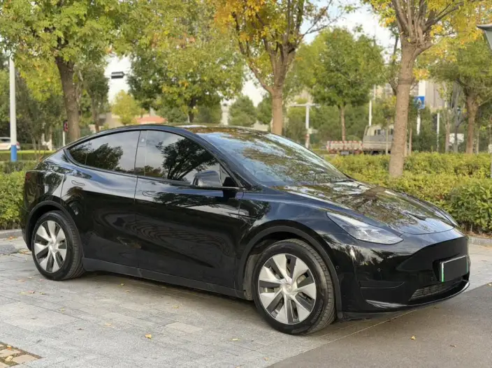 Model Y 2022 Model Facelift Rear-wheel drive version – фото 3