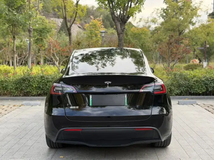 Model Y 2022 Model Facelift Rear-wheel drive version – фото 5