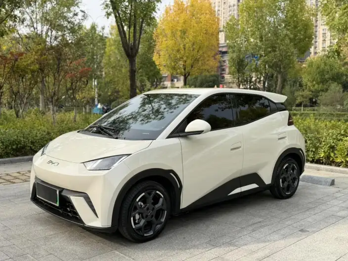 BYD Seagull 2025 Model 305KM Free Edition – фото 1
