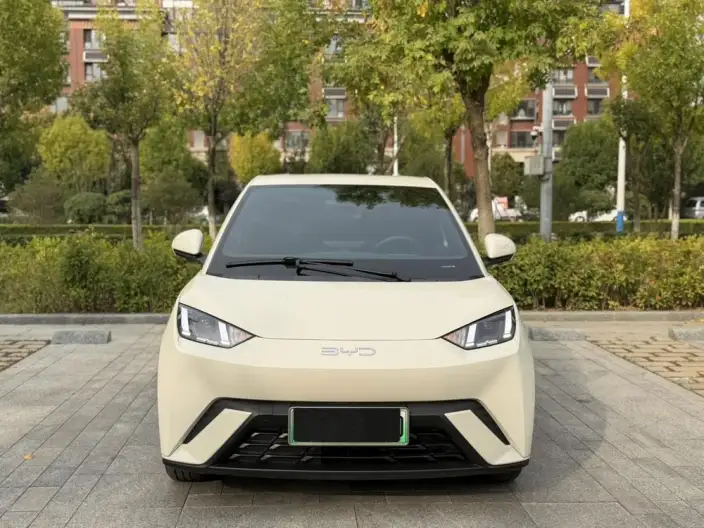 BYD Seagull 2025 Model 305KM Free Edition – фото 2