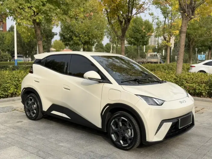 BYD Seagull 2025 Model 305KM Free Edition – фото 3
