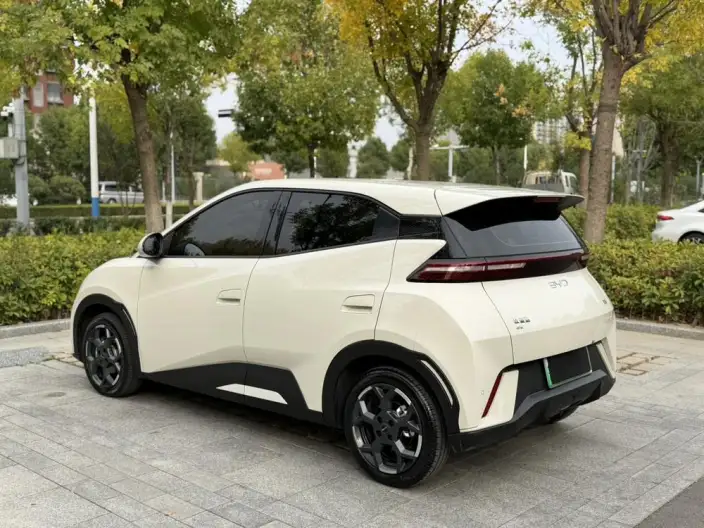 BYD Seagull 2025 Model 305KM Free Edition – фото 4