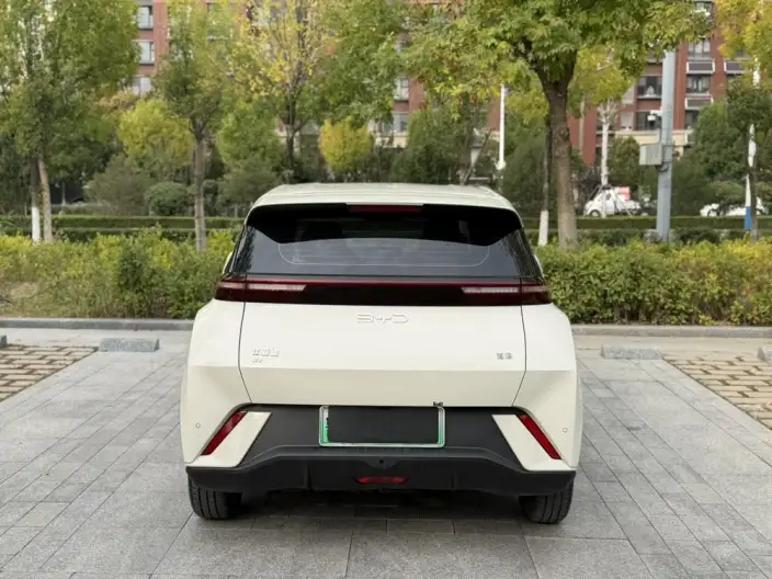 BYD Seagull 2025 Model 305KM Free Edition – фото 5