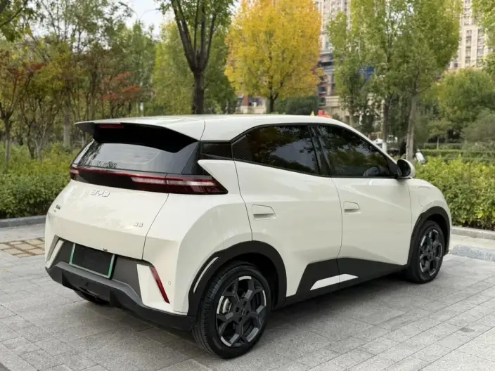 BYD Seagull 2025 Model 305KM Free Edition – фото 6