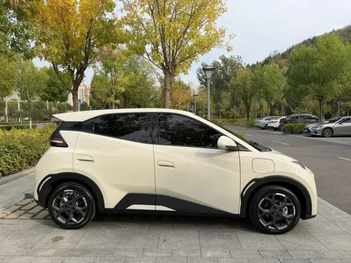 BYD Seagull 2025 Model 305KM Free Edition – фото 7