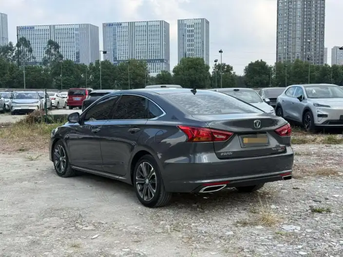 Changan Ruicheng CC 2022 Model Blue Whale Edition 1.5T DCT Luxury Model – фото 4