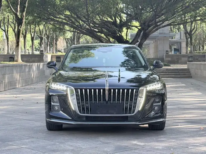 Hongqi H5 2023 Model 2.0T Automatic Flag Enjoy Edition – фото 2