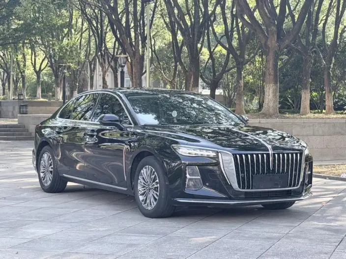 Hongqi H5 2023 Model 2.0T Automatic Flag Enjoy Edition – фото 3