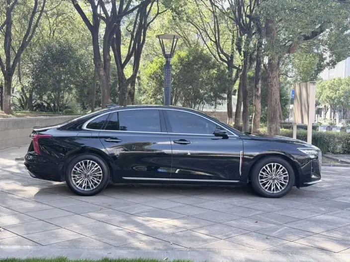 Hongqi H5 2023 Model 2.0T Automatic Flag Enjoy Edition – фото 6