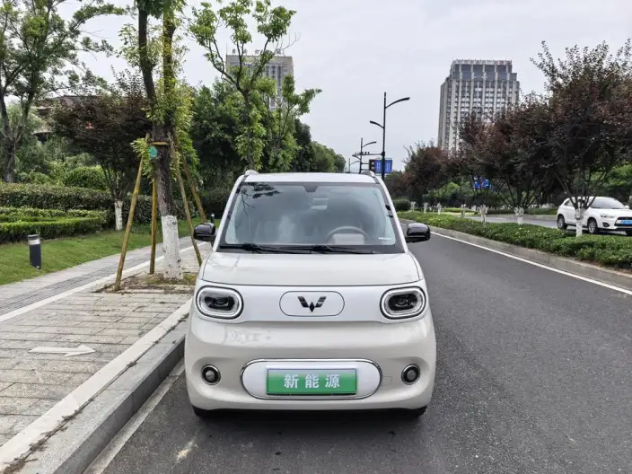 Wuling Hongguang MINIEV 2024 Model 215km Advanced version Lithium Iron Phosphate